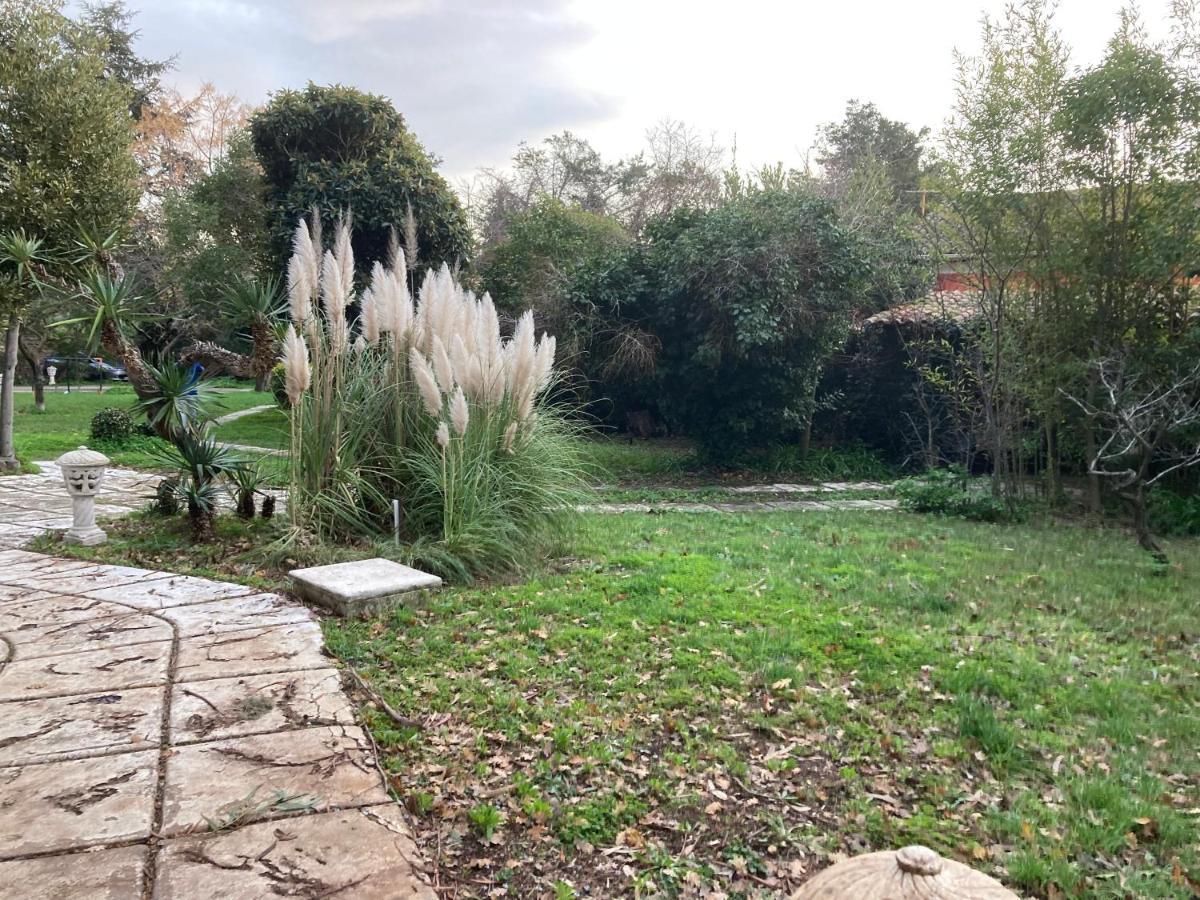Gite Encore Un Soir Hyères Exterior foto